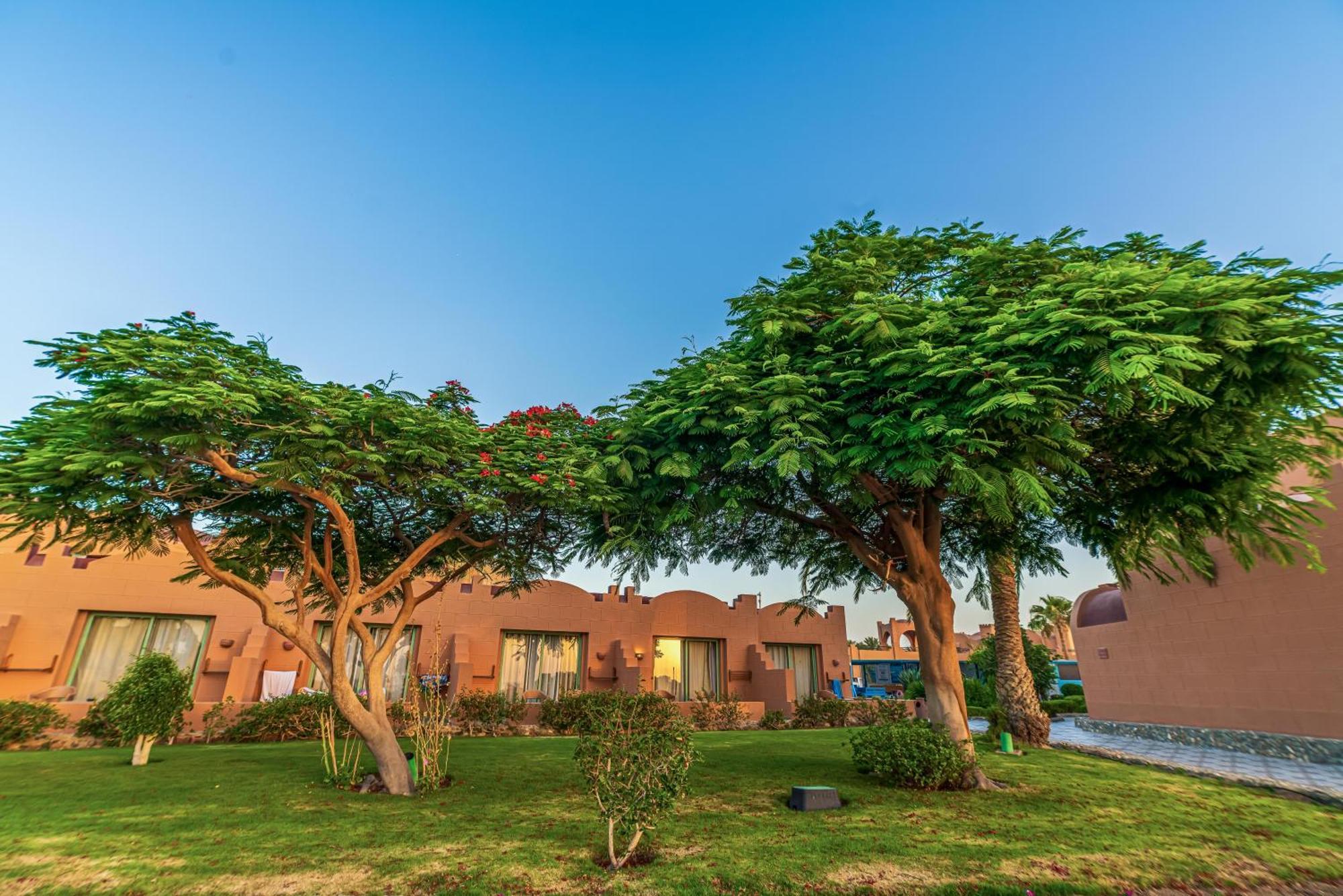 Akassia Swiss Resort El Qoseir Eksteriør billede